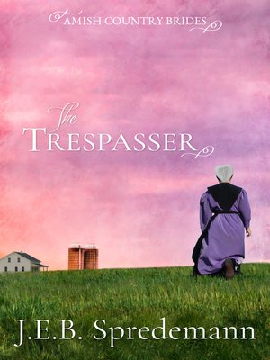 cover image of The Trespasser (Amish Country Brides)